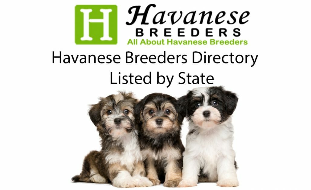 havanese breeders directory - listed by state