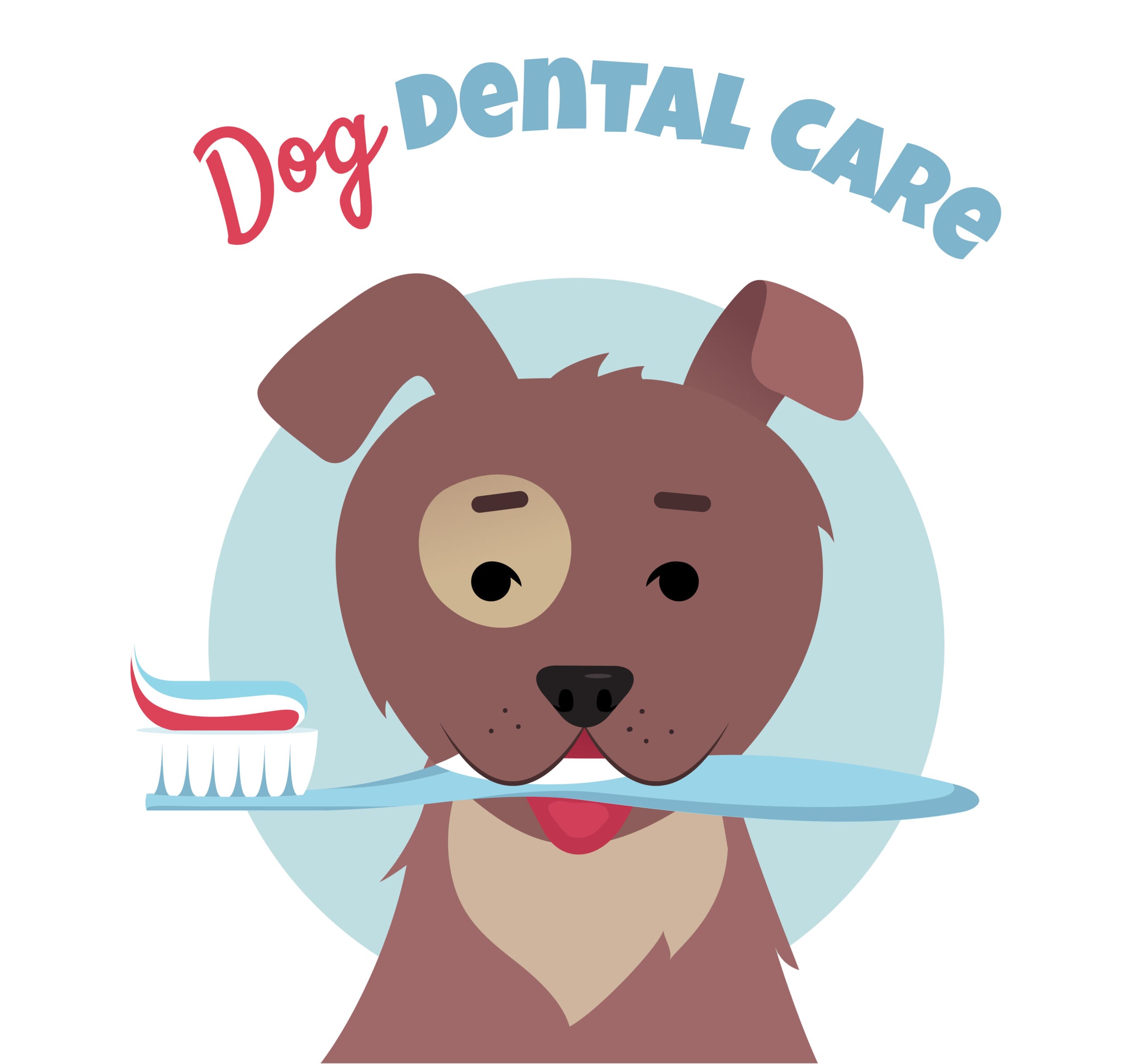 5 Must Have Dog Dental Products