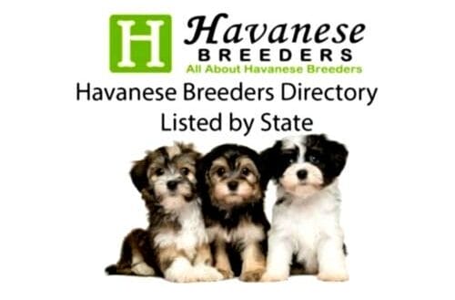 Havanese breeders directory listed by state.